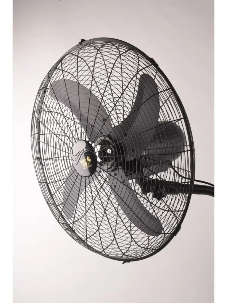 Bracket fan